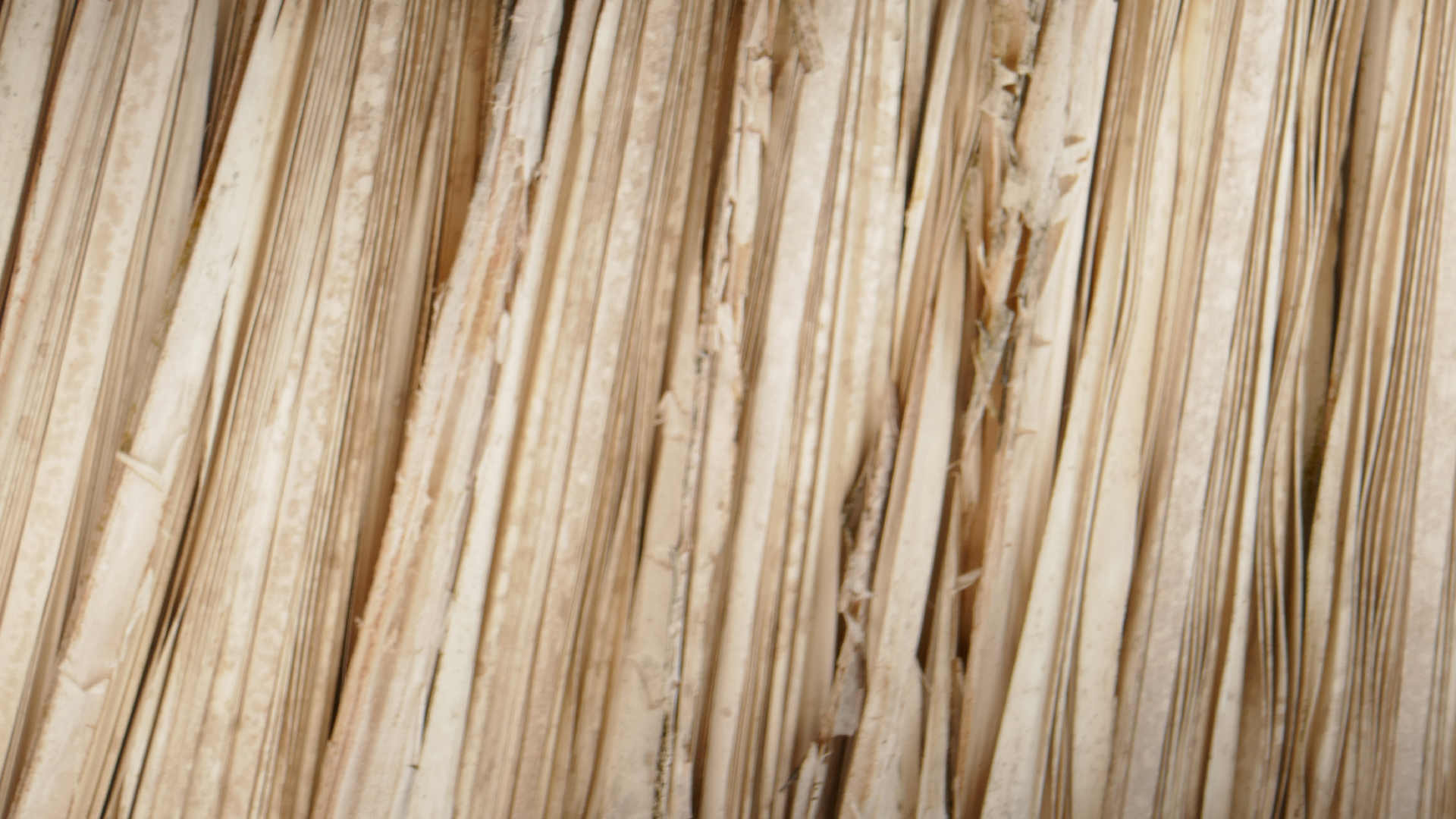 2022-10-29 13 Uhr 27 Playa Kalki (Foto, Video)